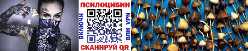 Галлюциногенные грибы прущие грибы  Чекалин 