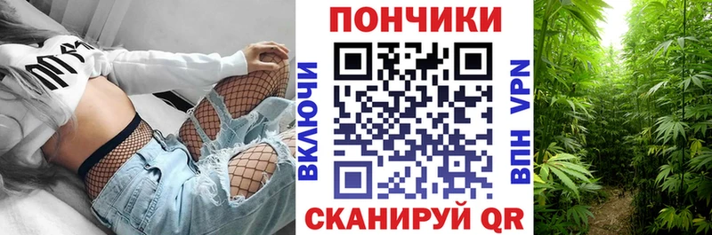 Каннабис сатива  что такое   Чекалин 